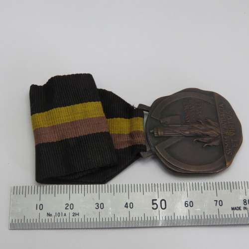 WW2 Italian Fascist 2nd division black shirts medal
