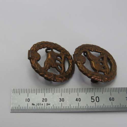 Pair of SA Army Non-European Service collar badges