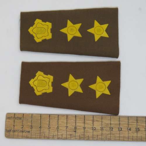 Pair of SADF Colonel rank epaulettes
