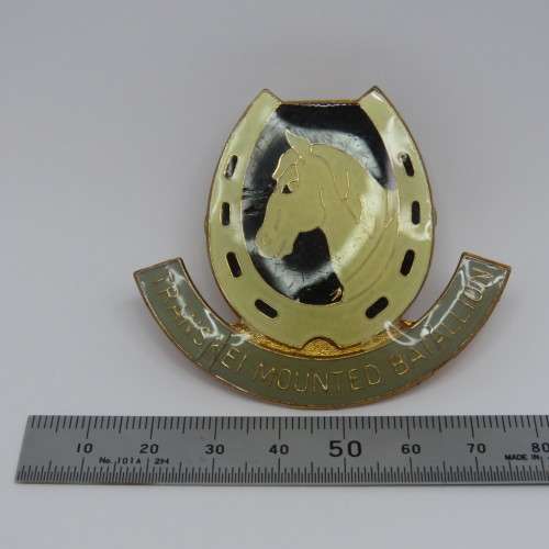 Transkei Mounted battalion beret badge