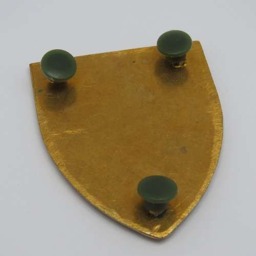 1 Transkei Battalion Defence Force shoulder flash