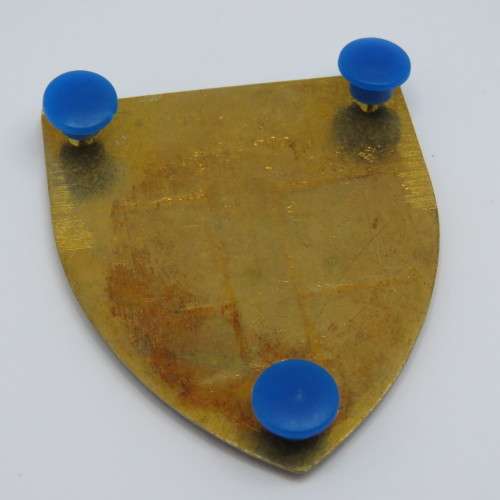 Transkei Defence Force 1st battalion shoulder flash