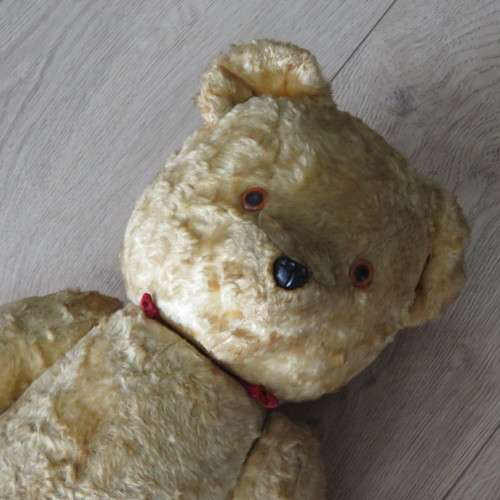 Vintage teddy bear - Length 67 cm