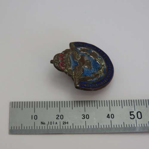 WW2 Air Force Comrades in war and peace button badge