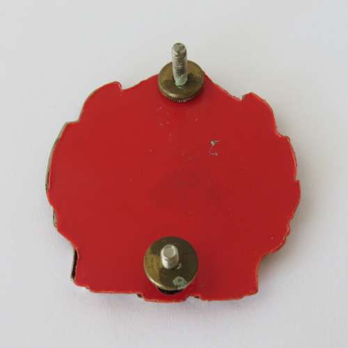 SADF 2 SA Infantry beret badge