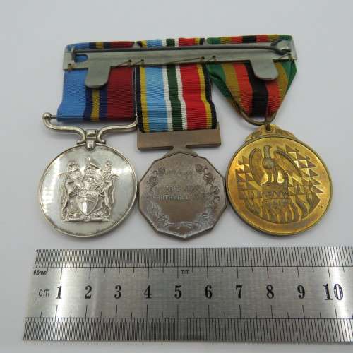 Set of Rhodesia medals issued to 7812 Inspector W.T. Bothwell