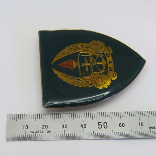 SADF Military Gymnasium shoulder flash