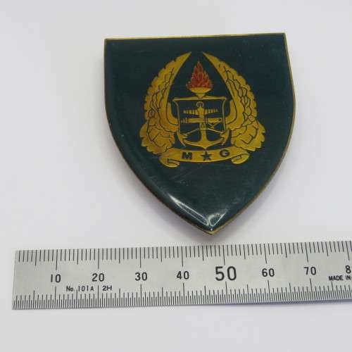 SADF Military Gymnasium shoulder flash