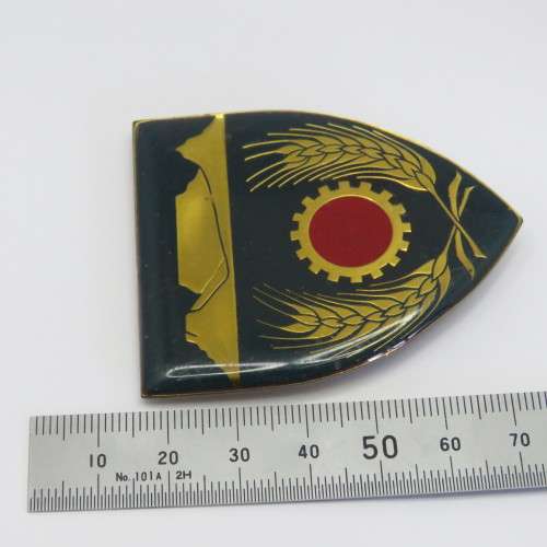 SADF Western Province command maintenance unit shoulder flash