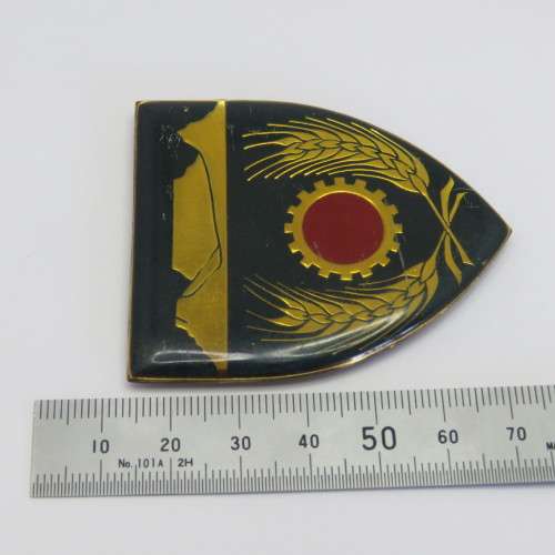 SADF Western Province command maintenance unit shoulder flash