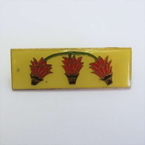 SADF Far North Command bar
