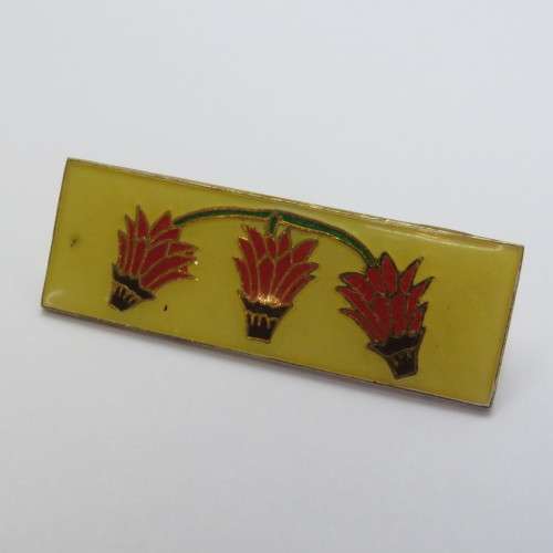 SADF Far North Command bar