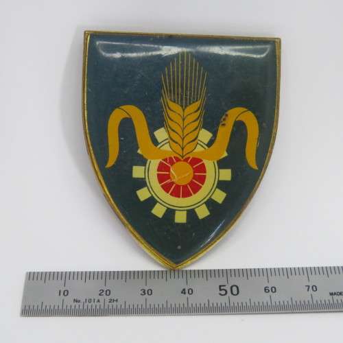 SADF Quartermaster general shoulder flash