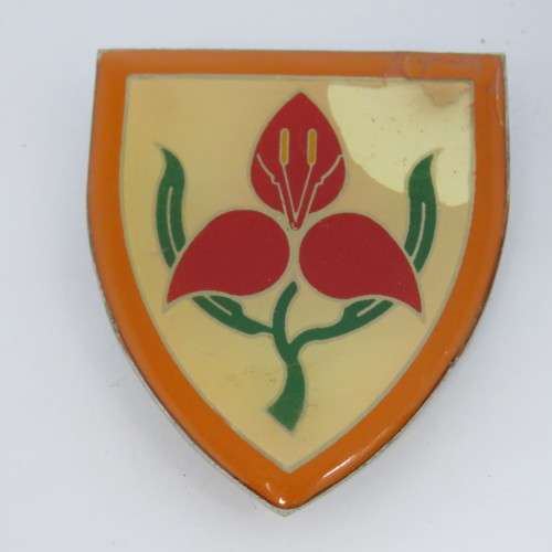 SADF Military academy shoulder flash