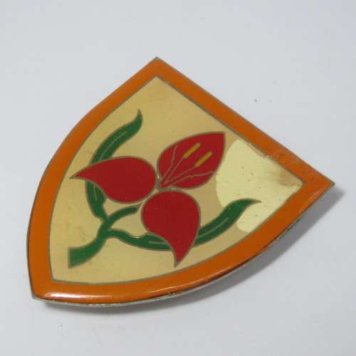 SADF Military academy shoulder flash