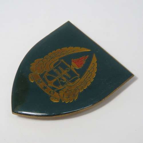 SADF Military Gymnasium shoulder flash