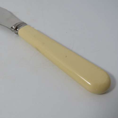 Vintage Sheffield carving set