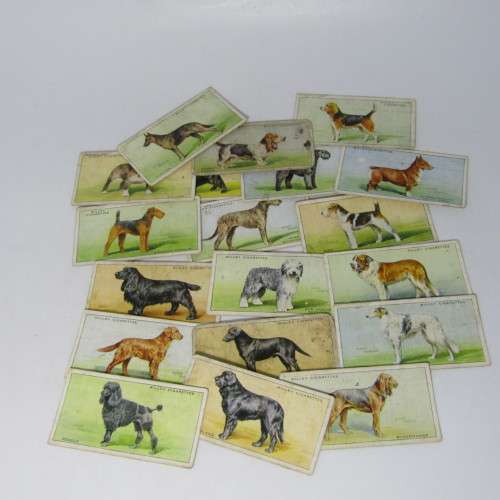 Cigarettes cards - Dogs by WD and HO Wills - lot of 19 out of 50 cards