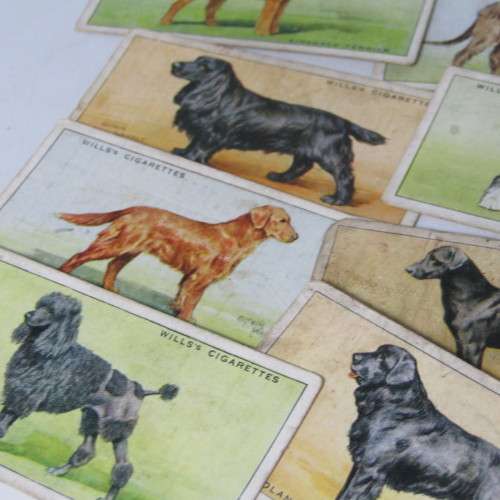 Cigarettes cards - Dogs by WD and HO Wills - lot of 19 out of 50 cards
