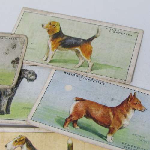 Cigarettes cards - Dogs by WD and HO Wills - lot of 19 out of 50 cards