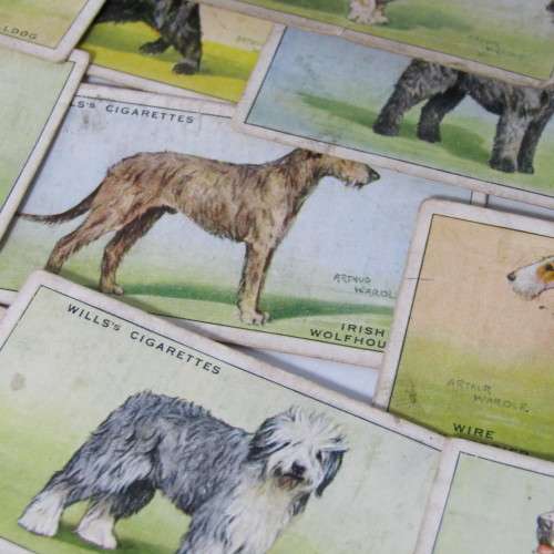 Cigarettes cards - Dogs by WD and HO Wills - lot of 19 out of 50 cards