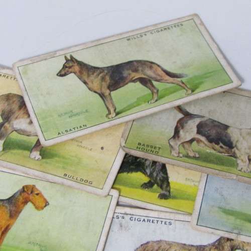 Cigarettes cards - Dogs by WD and HO Wills - lot of 19 out of 50 cards