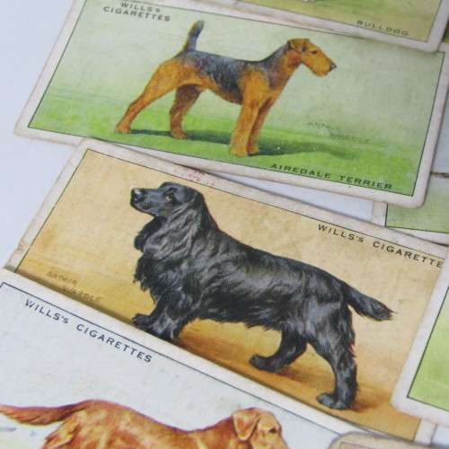 Cigarettes cards - Dogs by WD and HO Wills - lot of 19 out of 50 cards