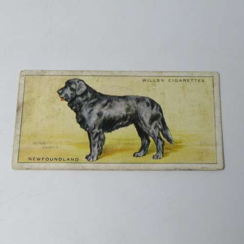 Cigarettes cards - Dogs by WD and HO Wills - lot of 19 out of 50 cards