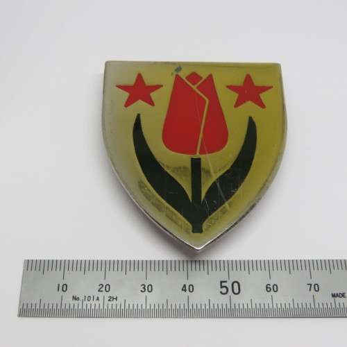 SADF South West Karoo commando shoulder flash