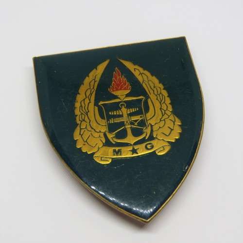 SADF Military Gymnasium shoulder flash
