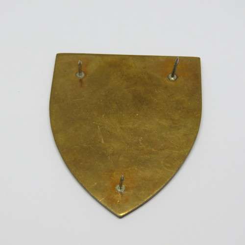 SADF Military Gymnasium shoulder flash