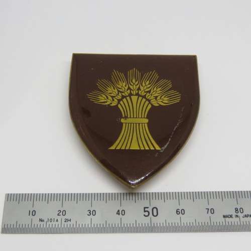 SADF Bethlehem commando shoulder flash