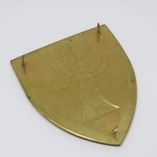 SADF Bethlehem commando shoulder flash