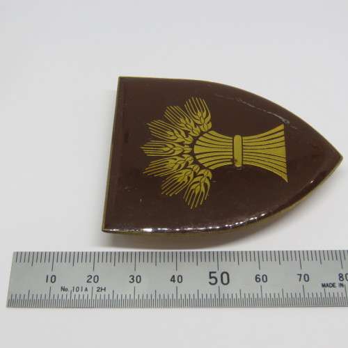 SADF Bethlehem commando shoulder flash