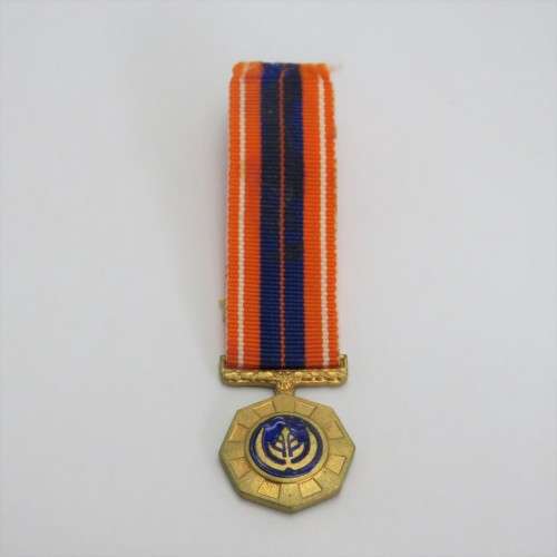 SADF Pro Patria medal miniature