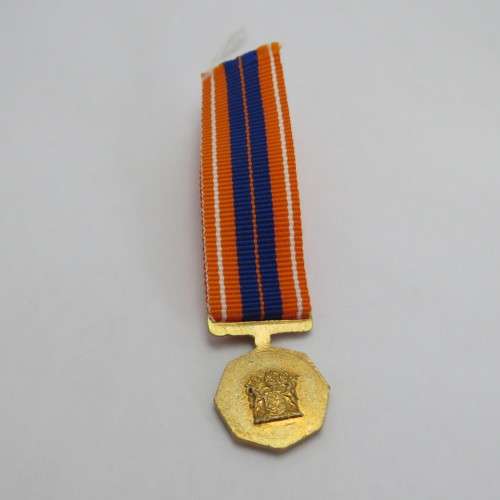 SADF Pro Patria medal miniature