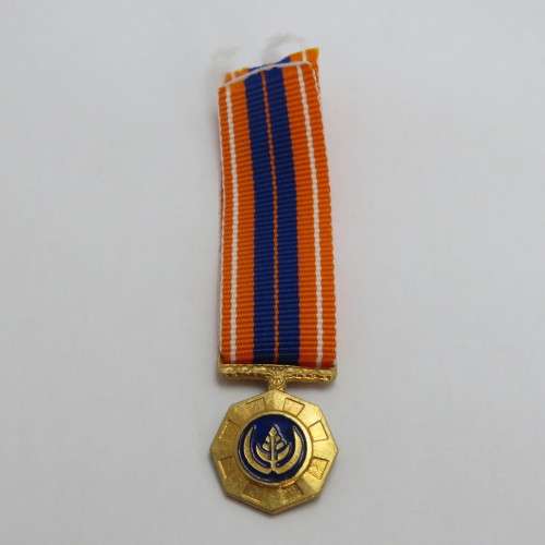 SADF Pro Patria medal miniature