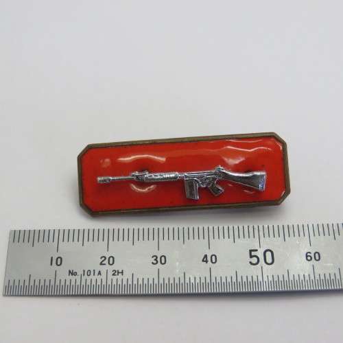 SADF Sharpshooter marksman badge