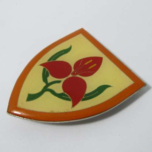 SAdf Military Academy shoulder flash