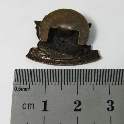 HF Verwoerd 1961 Republic festival pin badge