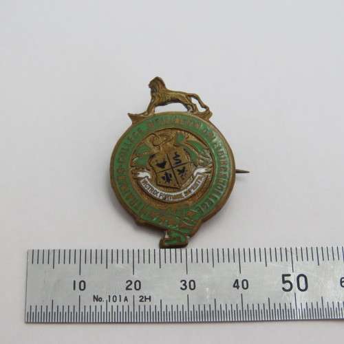 Vintage Wellington Opleidings Kollege training college pin badge