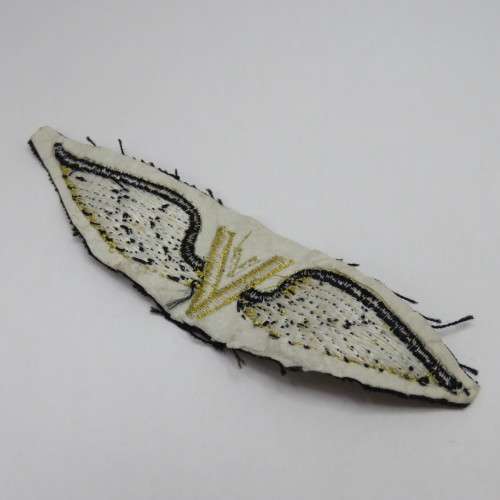 Unusual V cloth wing - Victory?