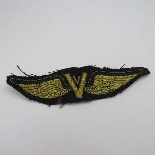 Unusual V cloth wing - Victory?