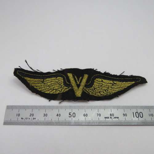 Unusual V cloth wing - Victory?