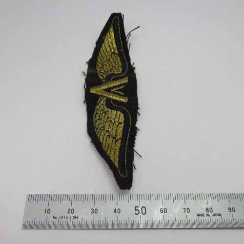 Unusual V cloth wing - Victory?