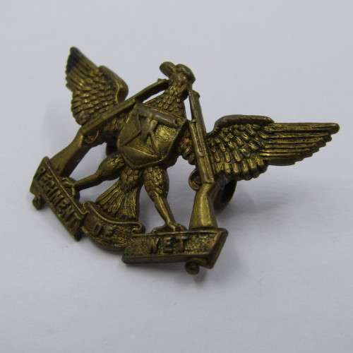 SADF Regiment De Wet collar badge