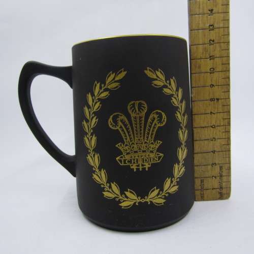 Wedgwood 1981 Caernarvon Prince of Whales mug
