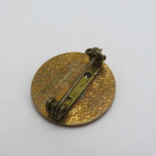 1956-1981 SA Airforce Gymnasium lapel badge