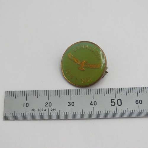 1956-1981 SA Airforce Gymnasium lapel badge