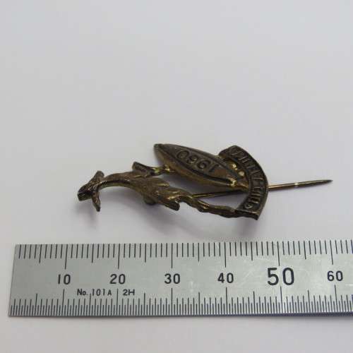 Vintage 1960 SA Springbok rugby stick pin